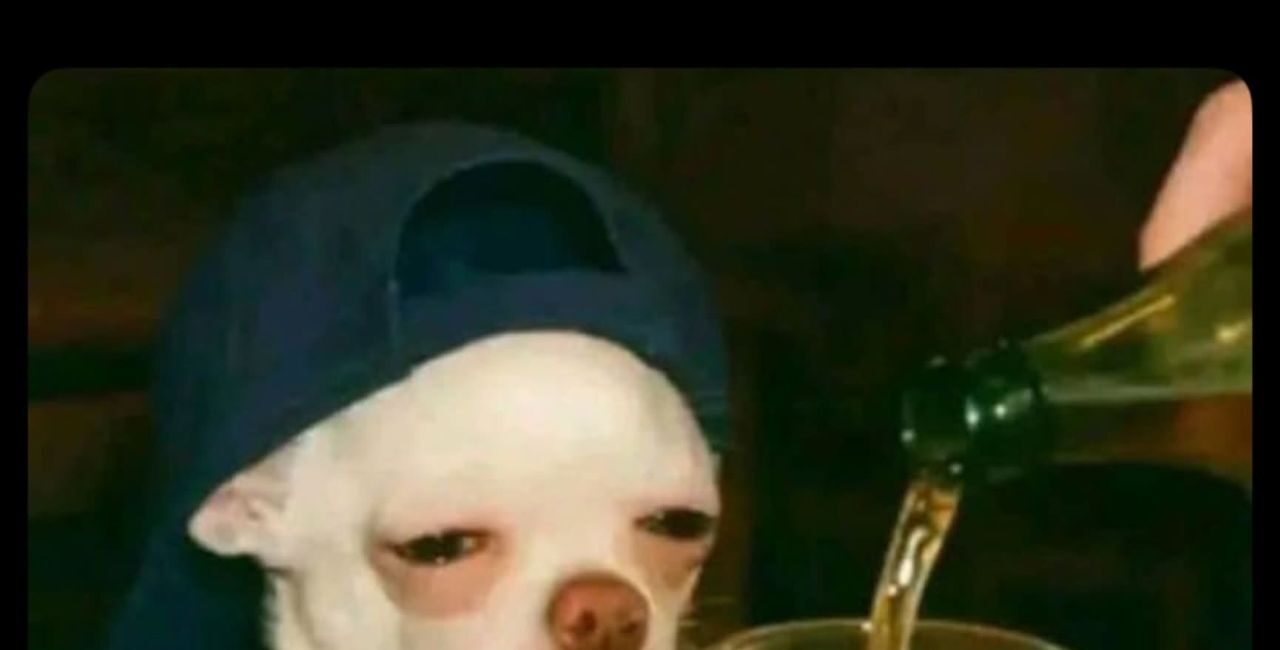 Verse tout dedans, j&rsquo;ai besoin d&rsquo;oublier même mon nom